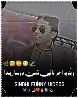 wait for end😂#foryou #comedyvedio#sindhifunny #sindhi#newpepishitmelike 
