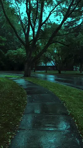 rainy walk through dreams of pure imagination 😌💙 #liminal #rain #ambient #nostalgia #bluehour 