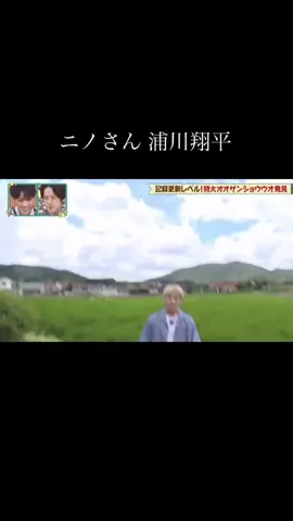 ニノさん浦川翔平面白集 まじでこの男、面白いんです。でも本当は真面目なんです。信じてください。 #浦川翔平 #しょへ  #THERAMPAGE  #ニノさん