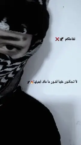#حربكه✌️✈️ #سرسره✌️ستوريات🎤✈️ #تفاعلكم_يساعدنا_على_الاستمرار💯💯 