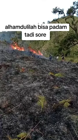 📍 Penanganan Karhutla di Savana Propok Taman Naaional Gunung Rinjani Semeton Rinjani, Berikut perkembangan kegiatan pemadaman kebakaran hutan di Propok 3, Resor Aikmel SPTN II Lombok Timur, Desa Bebidas, yang terjadi pada Kamis, 21 Agustus 2025. 🔥 Kronologi Singkat: Api terdeteksi sekitar pukul 13.00 WITA oleh pengunjung di kawasan wisata non-pendakian Bukit Gedong. Tim gabungan (BTNGR, MPA, serta kelompok masyarakat pengelola Savana Peropok & Bukit Gedong) dengan total 23 personil segera melakukan upaya pemadaman. Kendala medan terjal dan kondisi malam hari menyebabkan api belum dapat dipadamkan sepenuhnya pada hari pertama. Keesokan harinya, Jumat 22 Agustus 2025, upaya dilanjutkan oleh 18 personil. Pada pukul 11.30 WITA api berhasil dipadamkan seluruhnya. 🌱 Dampak: Vegetasi terdampak meliputi semak, perdu, rumput kering, pohon bakbakkan, dan cemara gunung. Perkiraan luas area terbakar: ±70 Ha. ✅ Saat ini, tim telah memastikan api padam sepenuhnya, dan pemantauan lapangan tetap dilanjutkan untuk mengantisipasi potensi titik api baru. Mari bersama-sama menjaga kelestarian Rinjani dari ancaman kebakaran hutan. 🔥🌿�  