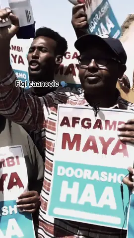 Shalay fiqi canoole 🥱😂#somalia🇸🇴 #foryoupage #fyp #viraltiktok #somalitiktok 