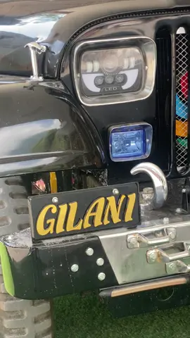 Paras Ke  gillani shazdi hai new 🆕 ….❤️🖤✈️#foryou #foryoupage 🥹❤️#