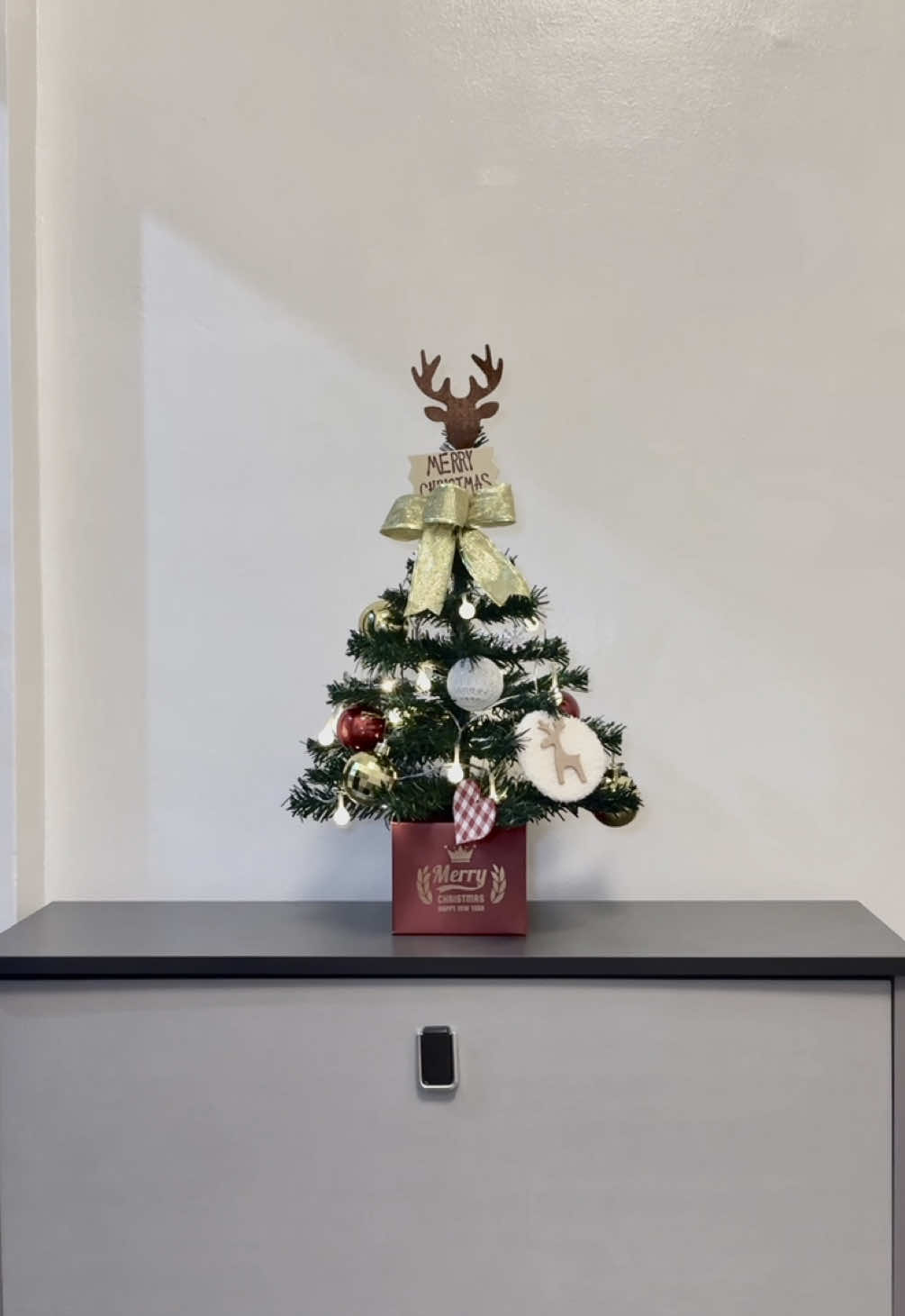 Mini Christmas Tree for Desktop w/ Lights!🎄💫 #xmastree #christmastree #xmasdecor #minixmastree #christmasdecor @Everparty mall 