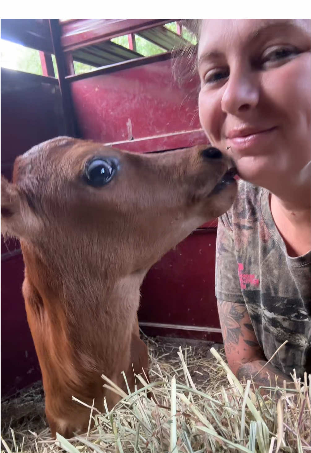 Lord, help me to keep this baby calf healthy. Give me the strength and the courage to know how to care for it, the wisdom to do what’s best, and the patience to nurture it with love. Bless this little one with health and protection, and guide my hands in every step of the way. Amen 🙏🏼. It’s hard sometimes getting calf’s at an auction. You just never know. #camodarling #heifercalf #newestfarmmember #blessthisbaby 