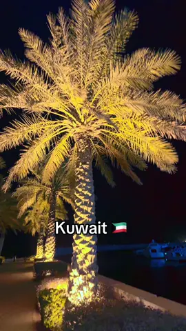 😍😍 Kuwait 🇰🇼 #foryou #india #kuwait #fyp #foryoupage 