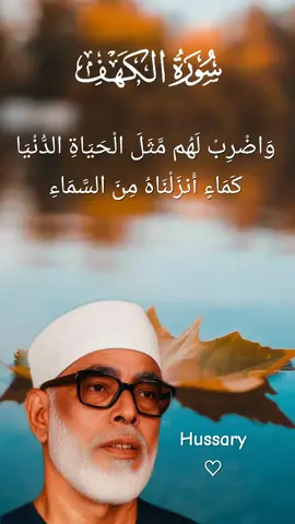 45」Les biens et les enfants sont l’ornement de la vie de ce monde. Cependant, les bonnes œuvres qui persistent ont auprès de ton Seigneur une meilleure récompense et [suscitent] une belle espérance. #hussary #sourate #verset #muslim #pourtoi @Official_ibnoul_Hussory 