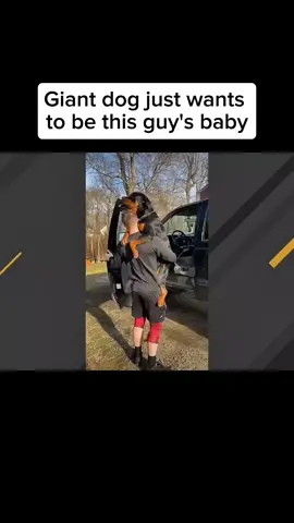 #animalsoftiktok #animals #geobeatsanimals #geobeats #animal 