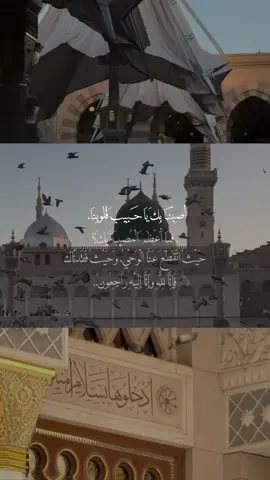 💔. #استشهاد_النبي_الأعظم #استشهاد_رسول_الرحمة #اصبنا_بك_يارسول_الله #اكسبلورexplore #اكسبلور #٢٨_صفر_استشهاد_النبي_محمد #نبي_الرحمة 