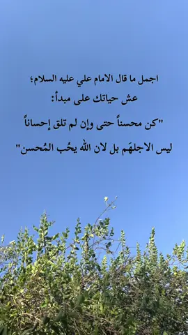 #اقوال_الامام_علي_عليه_السلام #مقولات_الامام_علي #عباس_داود #اقوال_وحكم #اشهد_ان_علي_ولي_الله 