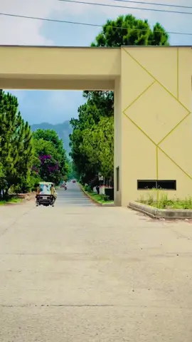#fyppppppppppppppppppppppp #viralvideo #viraltiktok 