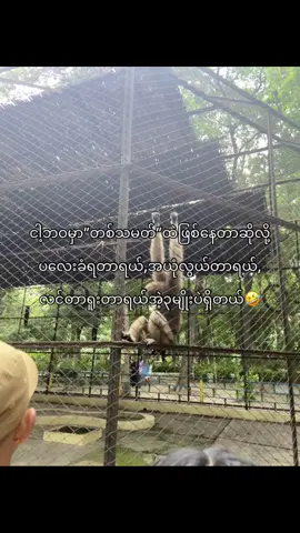 နင်တို့ကောငါ့လိုပဲမလား🤣#fypပေါ်ရောက်စမ်း #foryou #viraltiktok #s🎀 #viral 
