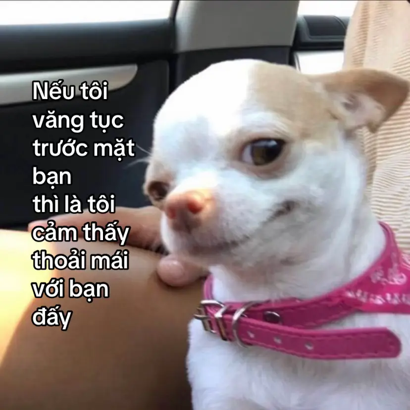 Quý lắm mới nhả lời vàng ý ngọc cho nghe đấy 😚 #ngoghe #fyp #relatable 