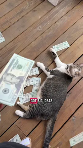 Even CEO Tom knows ideas can feel overwhelming when everything’s expensive and margins are tight. That’s why he’s heading to Alibaba.com CoCreate 2025 - the sourcing event of the year for entrepreneurs and small business owners. ✨ Use my code corporate for up to 20% off tickets. General Plus tickets are just $299 and include 2 free hotel nights.  Grab yours before the 24-hour deal ends! #Alibaba.com #CoCreate 