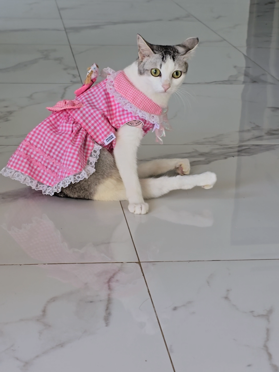 💗💝💕💞