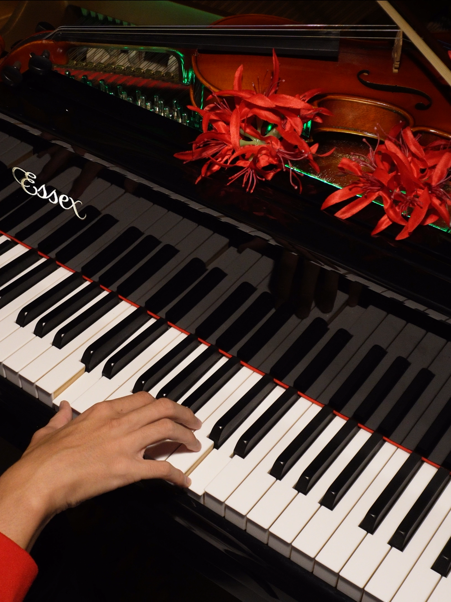 Wuthering Waves Piano Cover - Phrolova theme [Wuwa] #wuwa #wutheringwaves #kurogames #genshin #mihoyo  #piano #pianocover #atlus #play #ps5 #ost #cover #pianocover