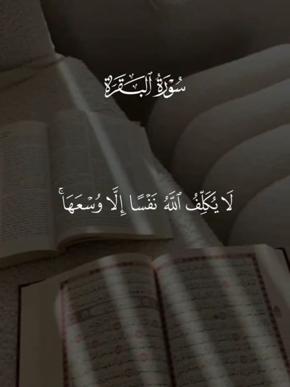 #قران #احمد_العجمي #quran #سورة_البقرة 