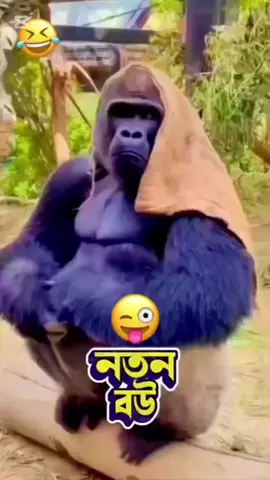 #ভিডিওটা_ভাইরাল_করো #ফানি #🤣😂😅🤣🤣😂😂