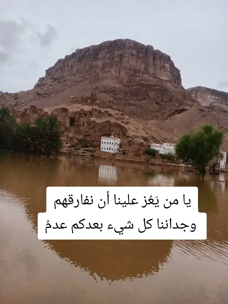 #القطن_حضرموت_سئيون_المكلاء_قهوه_بن_عيفان #بروج #رخيه #fyppppppppppppppppppppppp #CapCut #الشعب_الصيني_ماله_حل😂😂 