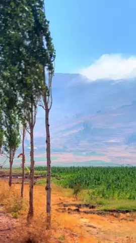 #الشعب_الصيني_ماله_حل #lebanon #الشعب_الصيني_ماله_حل😂😂 #explorepage #مالي_خلق_احط_هاشتاقا #💛 #جنوبيه #سعوديه🇸🇦يمن🇾🇪بحرين🇧🇭قطر🇶🇦مغرب🇲🇦سوريا🇸🇾 
