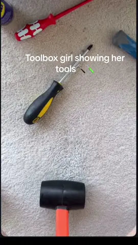 Which tool is you favorite 🔨🪛#toolbox #tool #2025 #toolboxgirl 