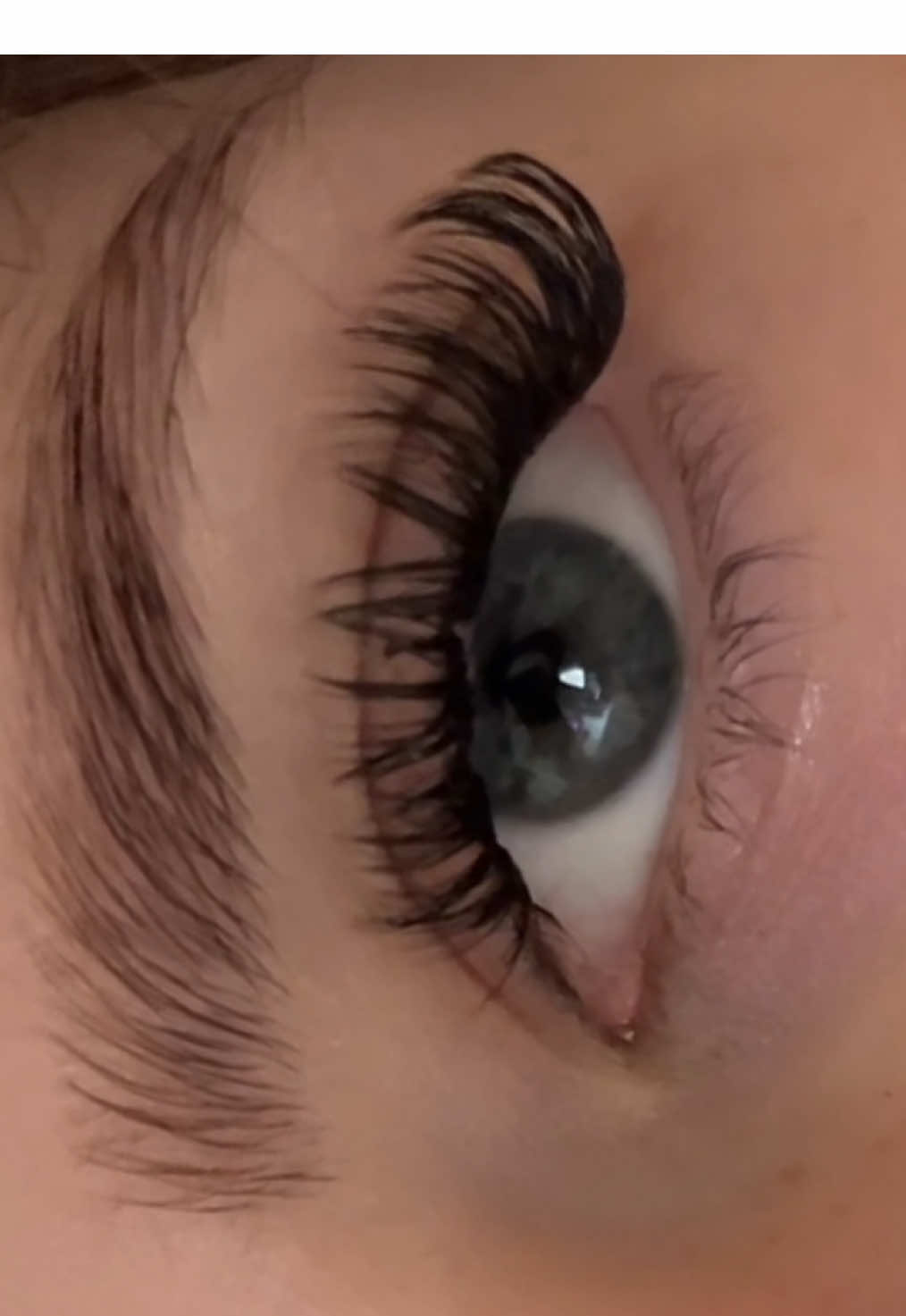 @Jsio Lash 👁️  #JsioLash #ClusterLashKit #Clusters #Eyelashes 