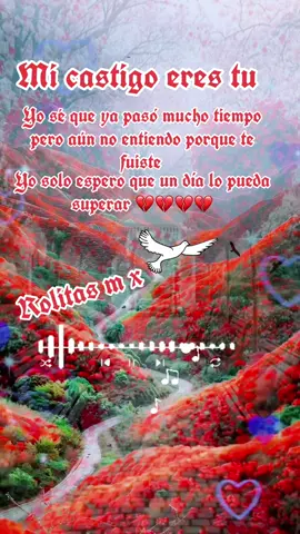Mi castigo fue tu amor #fypシviral#fpy#capcut#paratii 