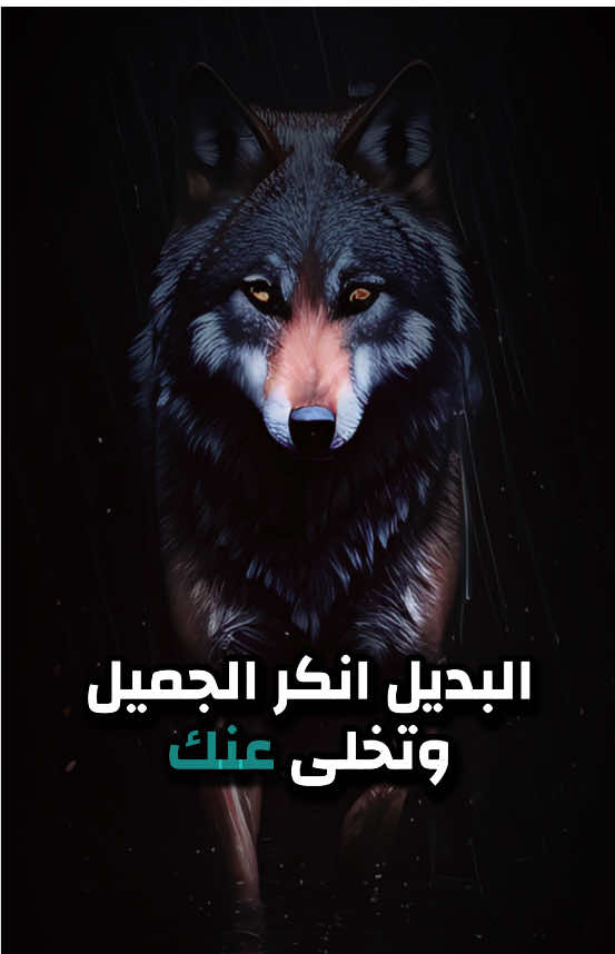 الأصيل👉يرد الجميل ولو بعد حين👌#دروس_الحياة #تنمية_ذاتية #تحفيزات_إيجابية #كلام_يغير_حياتك #explorepage 