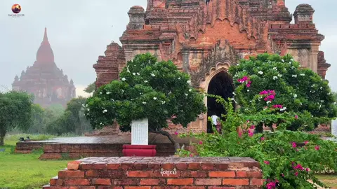 အလွမ်းရာသီ 🍀 #foryou  #bagan  #baganlover 