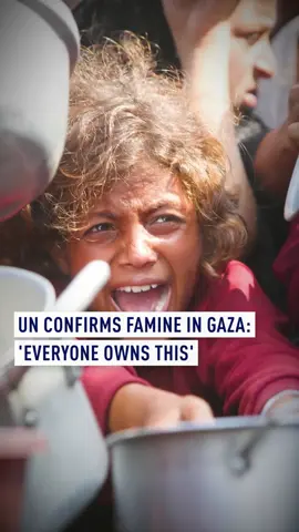 A UN report has confirmed famine in parts of Gaza, with nearly a quarter of the population facing starvation. UN aid chief Tom Fletcher blamed Israel’s blockade, but also called it ‘the world's famine’. ‘Everyone owns this… we've watched it happen in real time’.