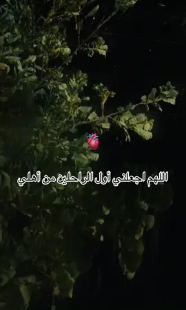 #لا طاقة لي بعد رحيل واحد من اهلي🫀😔#اللهم اجعلني أول الراحلين من أهلي🫀😔#اكتب شيء تؤجر عليه#سبحان_الله_وبحمده_سبحان_الله_العظيم 