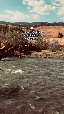 #baran #fyp #dengbej #sabır #şakiro #kanireş 