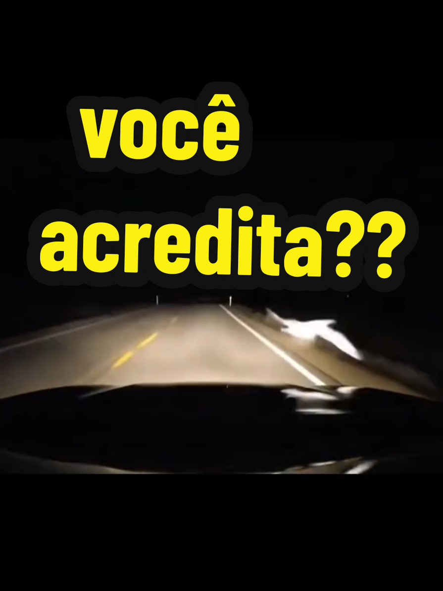 Um passaro salva a vida de jm motorista? #deus #salva #vidas 