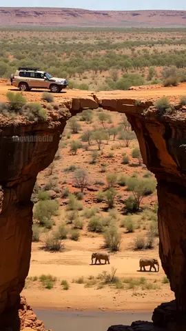 #tiktomonde🌏 #viralvideos #tik_toksuivis #pourtoi #@