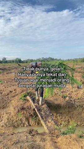 Begitula #sawit #sawitriau #sawitontiktok #kulinerindonesia #petanimuda 
