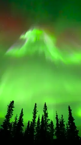 Aurora chasing