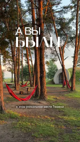Куда сходить в Тюмени? А вернее съездить) В Гнездо — глэмпинг, комплекс отдыха и место для мероприятий #тюмень #гнездотюмень #отдыхвтюмени