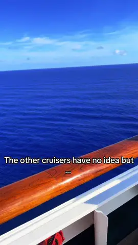 😂😂😂#fy #foryoupage #piratesofthecaribbean #cruiseship #cruiseship #cruisetok #royalcaribbean @Giovanni 