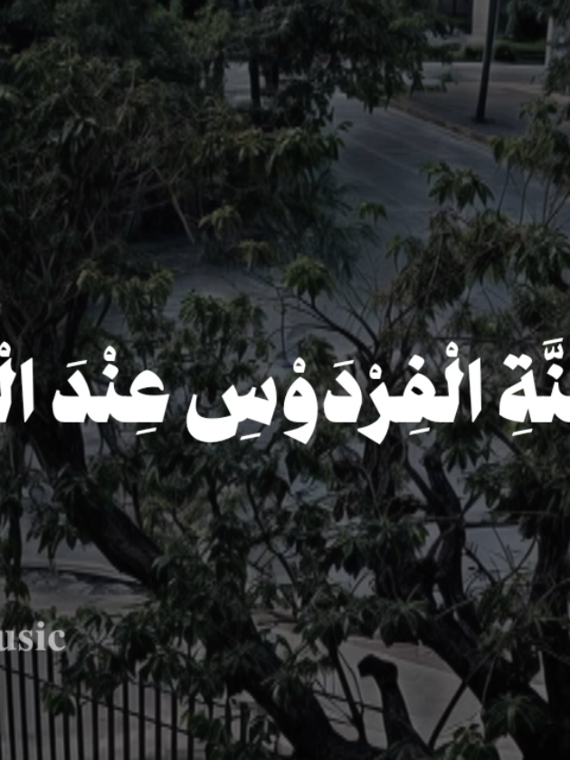 بدون موسيقى 🤎  #صبرا_جميلا_ال_هاشم #fypシ  #اناشيد #بدون_موسيقى #محمد_ماهر_صلاح_شاهين 