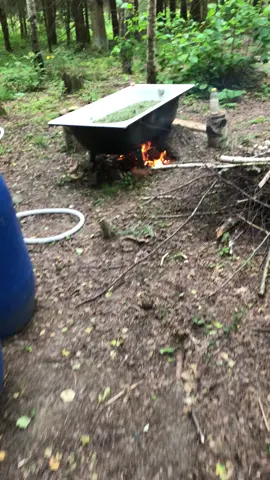 Forest bath is getting ready 🌲🛁 Herbs are soaking 🌿 Fire burning under the tub 🔥 The mood is just perfect ✨😊 #ForestVibes #NatureHealing #HerbalBath #SimpleLiving #FireAndNature 