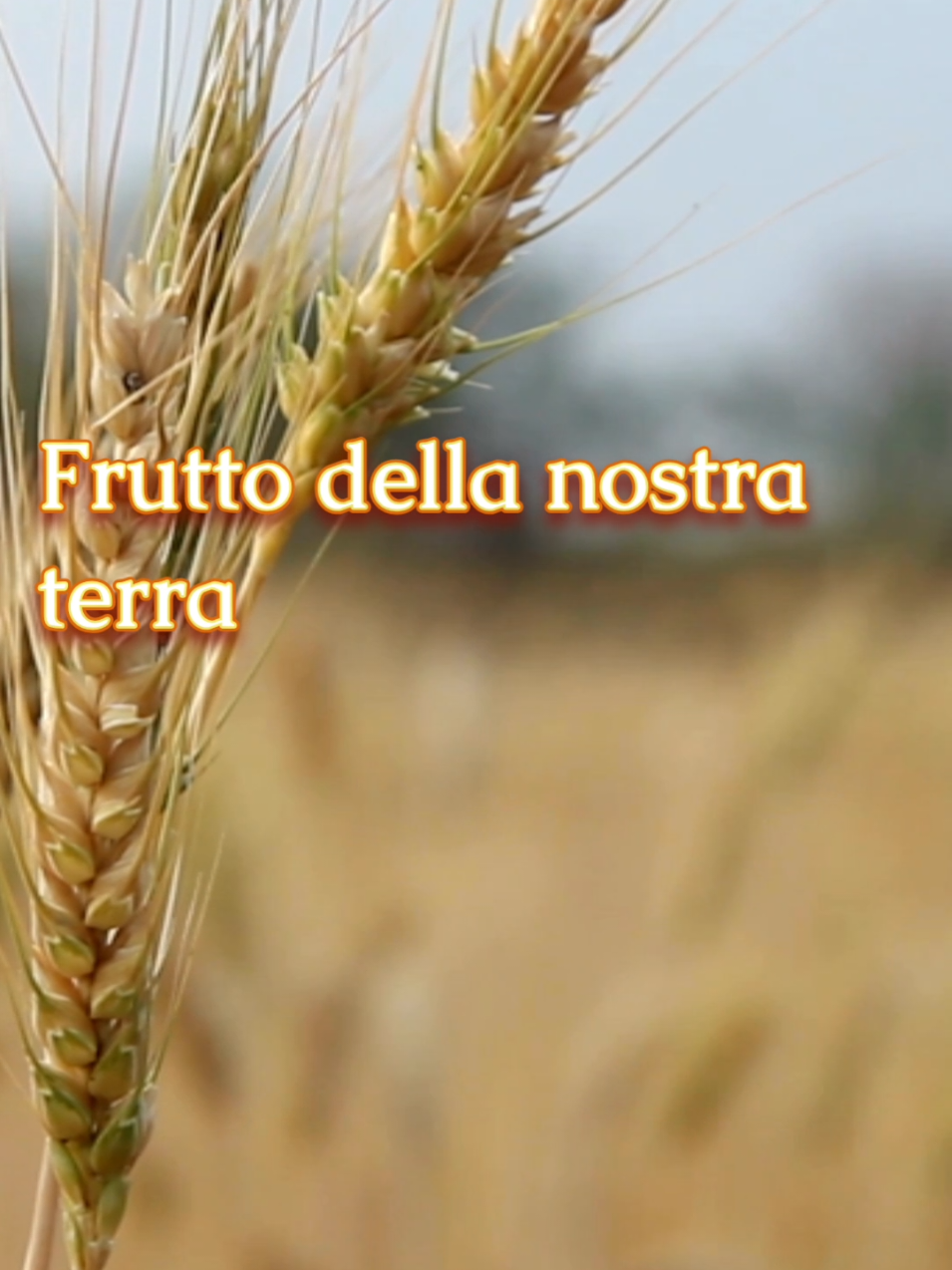 Frutto della nostra terra #fruttodellanostraterra  #offertorio #santamessa  #musicacristianatiktok 