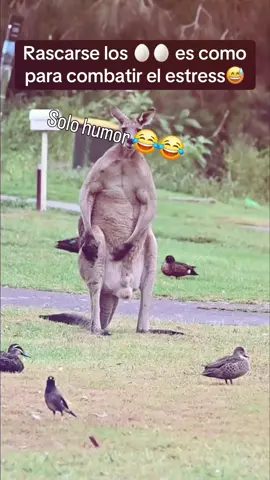 videotiktok #videoviralitiktok 