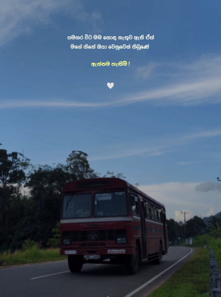 🥺🤍#foryou #foryoupage #viral #viral_video #tiktok 