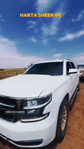 wefti balaadhan oo hargaisa ka socda ayaa harta sheekha lagusoo dhaweeyay #hartasheekha #ethiopian_tik_tok🇪🇹🇪🇹🇪🇹🇪🇹 #somalilandtiktok💚🤍❤ #hargai 