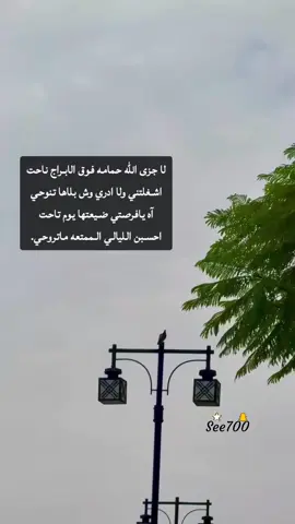 #لاجزى_الله_حمامه_فوق_الابراج_ناحت 