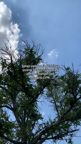 Tiba2 banget nih anggota dpr #fyp #yoongi #quotes #minyoongi 