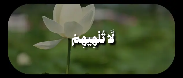 ﴿ رِجَالٌ لَّا تُلْهِيهِمْ تِجَارَةٌ وَلَا بَيْعٌ عَن ذِكْرِ اللَّهِ وَإِقَامِ الصَّلَاةِ وَإِيتَاءِ الزَّكَاةِ ۙ يَخَافُونَ يَوْمًا تَتَقَلَّبُ فِيهِ الْقُلُوبُ وَالْأَبْصَارُ﴾ [ النور: 37]  #قران #علي_جابر #قران_كريم #علي_جابر_رحمه_الله #quran 
