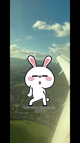#MemeCut #fyp #skyywaveagency #oahu #Meme 