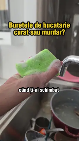Buretele de bucatarie curata farfuriile sau le infecteaza #curatenie #romania 