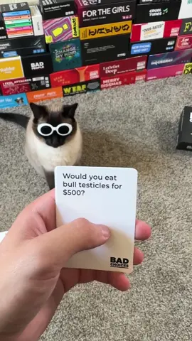 What could it possibly be?  #badchoicesgame #bap #cat #oof #fyp 